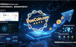数字货币域名PaeCoin.com：数字货币的革新支点，重塑金融科技新范式