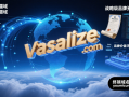 英文单词精品域名Vassalize.com：掌控数字疆域，铸就战略级品牌资产