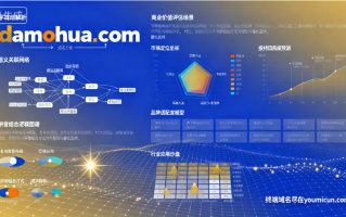 三拼域名damohua.com域名深度解析与商业价值评估