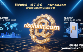 链启新势，域见未来——rischain.com，赋能区块链时代的崛起之路