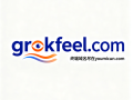 创意域名grokfeel.com深度解析与商业价值评估
