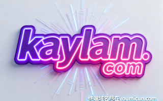 创意域名kaylam.com深度解析与商业价值评估