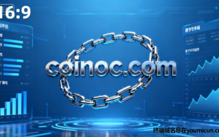 数字货币域名coinoc.com深度解析与商业使用价值评估报告