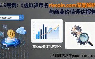 虚拟货币域名riecoin.com深度解析与商业价值评估报告