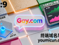 四字母精品创意域名iGay.com深度综合解析及商业使用价值分析