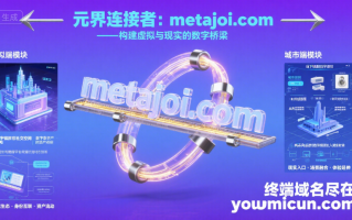 元界连接者：metajoi.com—— 构建跨域融合的虚拟与现实数字桥梁