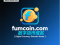 虚拟货币域名fumcoin.com——数字金融时代的价值迷雾与财富灯塔