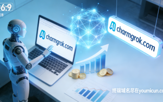 AI智能为主题的创意域名charmgrok.com商业价值点评
