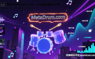 元宇宙域名MetaDrum.com：元宇宙浪潮中的节奏引领者，开启数字新纪元的鼓点