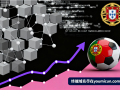 虚拟货币域名porocoin.com深度解析与商业价值评估报告