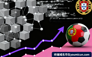 虚拟货币域名porocoin.com深度解析与商业价值评估报告