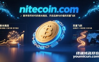 加密货币域名nitecoin.com：数字货币时代的夜光瑰宝，开启品牌与价值的双重飞跃