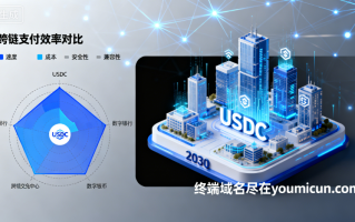 稳定币与数字货币的未来：USDC的崛起与行业趋势