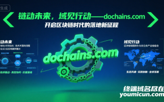 链动未来，域见行动——dochains.com，开启区块链时代的落地新征程