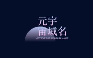 拥抱未来：探索元宇宙域名Metaseize.com的无限可能