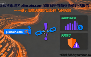 虚拟货币域名plincoin.com深度解析与商业价值评估报告
