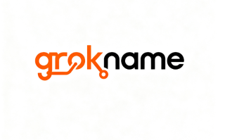 创意域名grokname.com深度解析与商业价值评估