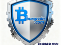 加密货币域名burgcoin.com深度解析与商业使用价值评估报告