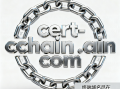 区块链域名cert-chain.com深度解析与商业使用价值评估报告