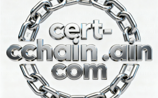 区块链域名cert-chain.com深度解析与商业使用价值评估报告