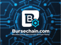 链铸金脉：区块链域名bursechain.com——开启数字金融新纪元