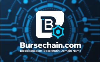 链铸金脉：区块链域名bursechain.com——开启数字金融新纪元
