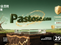 英文单词精品域名Pastose.com：铸就专业领域的数字膏壤，开启品牌权威新纪元