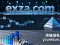 四字母短域名exza.com深度解析与商业价值评估报告
