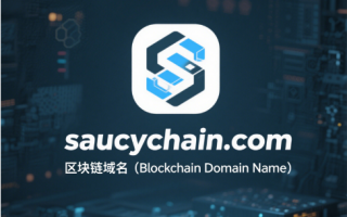 saucychain.com：区块链新贵，域名投资与价值之选