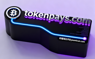 加密币支付域名“tokenpays.com”深度解析与商业价值评估