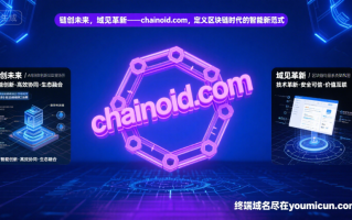 链创未来，域见革新——chainoid.com，定义区块链时代的智能新范式