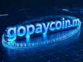 数字货币域名gopaycoin.com深度解析与商业价值评估