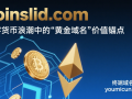 Coinslid.com：数字货币浪潮中的“黄金域名”价值锚点