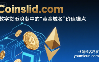 Coinslid.com：数字货币浪潮中的“黄金域名”价值锚点
