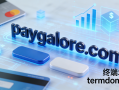支付主题的终端域名paygalore.com深度解析