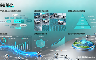 元宇宙域名nimmeta.com 域名深度解析与商业价值评估