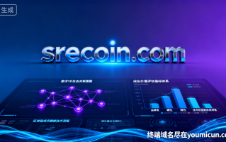 数字货币域名“srecoin.com”深度解析与商业价值评估