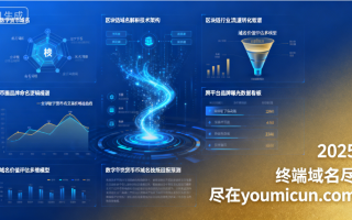 数字货币域名“adrincoin.com”深度解析与商业价值评估