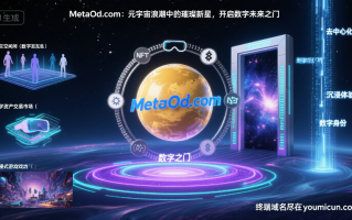 元宇宙域名MetaOd.com：元宇宙浪潮中的璀璨新星，开启数字未来之门