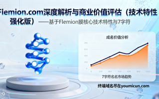 flemion.com深度解析与商业价值评估（技术特性强化版）