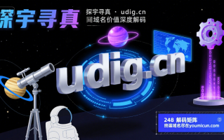 探宇寻真·udig.cn域名价值深度解码