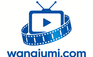 三拼域名wangjumi.com（网剧迷）投资价值深度点评