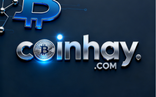 数字货币域名“coinhay.com”深度解析与商业价值评估
