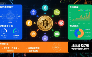 是否有一种更好的比特币？技术、市场与生态的全面分析