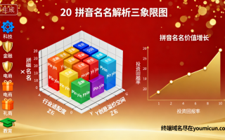 20个拼音域名深度解析：行业适配+创意溢价+投资指南全揭秘！