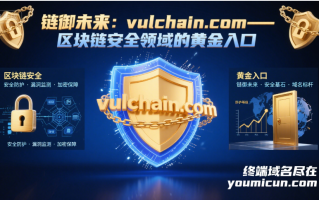 链御未来：vulchain.com——区块链安全领域的黄金入口