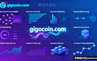 数字货币域名“gigocoin.com”深度解析与商业价值评估