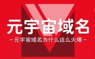 元宇宙域名metaplume.com：元宇宙中的璀璨羽毛，引领数字新风尚