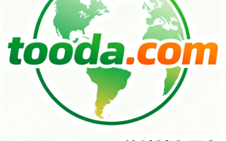 创意域名 toodao.com域名深度解析与商业价值评估