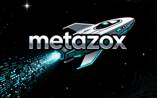 元宇宙域名metazox.com深度解析与商业价值评估
